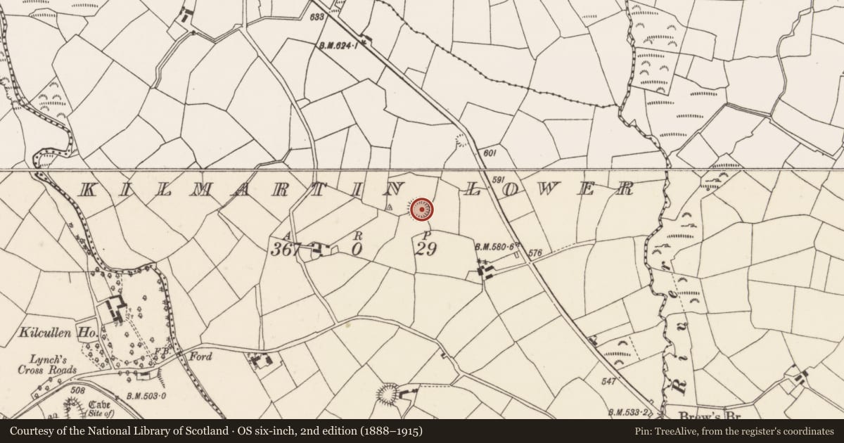Ordnance Survey six-inch map, 2nd edition (1888–1915) covering the location of Ringfort - rath, Kilmartin Lower, County Cork, with a pin at the register's coordinates