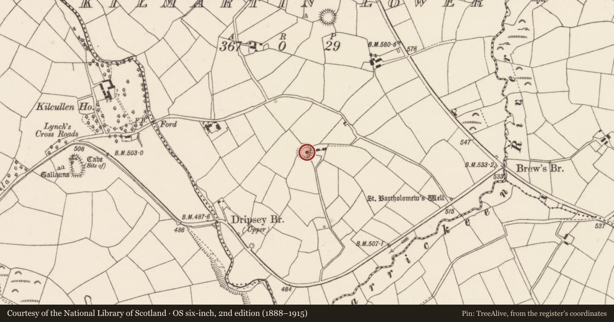 Ordnance Survey six-inch map, 2nd edition (1888–1915) covering the location of Souterrain, Kilmartin Lower, County Cork, with a pin at the register's coordinates