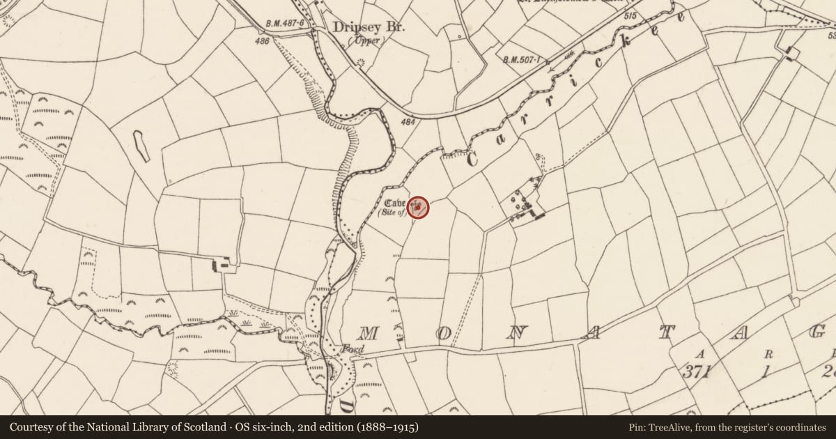 Ordnance Survey six-inch map, 2nd edition (1888–1915) covering the location of Souterrain, Monataggart, County Cork, with a pin at the register's coordinates