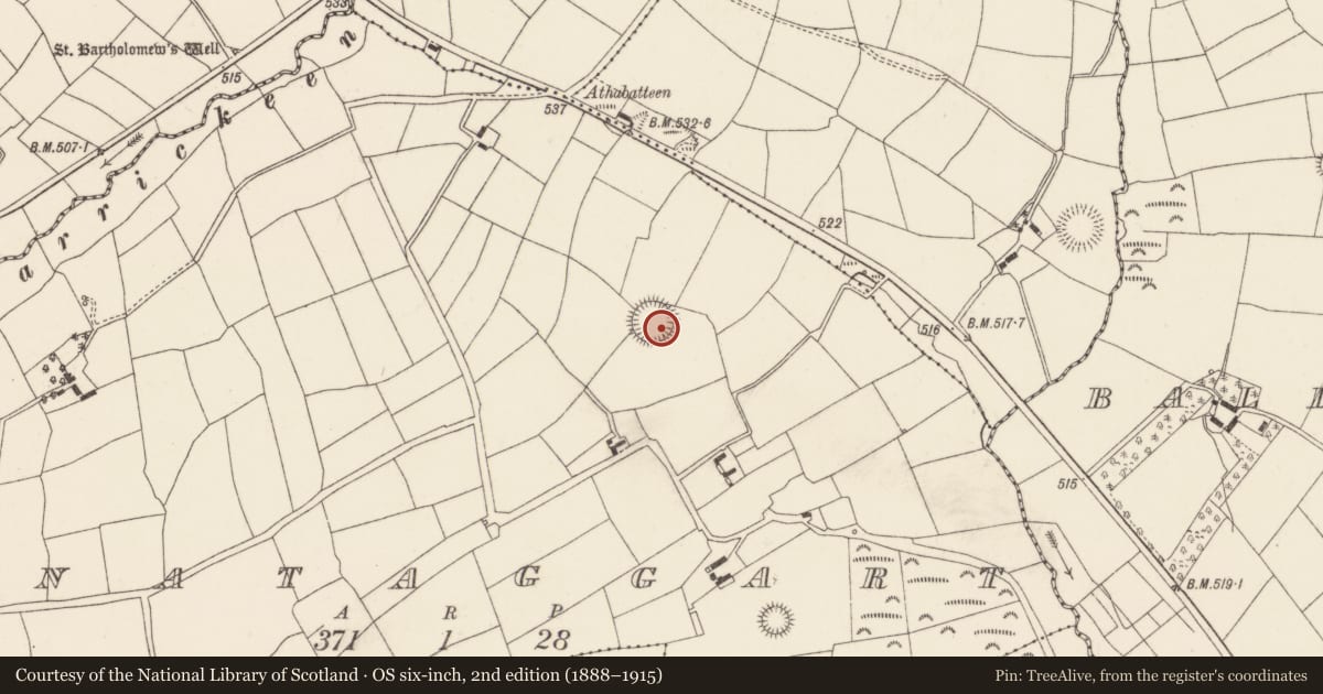 Ordnance Survey six-inch map, 2nd edition (1888–1915) covering the location of Ringfort - rath, Monataggart, County Cork, with a pin at the register's coordinates