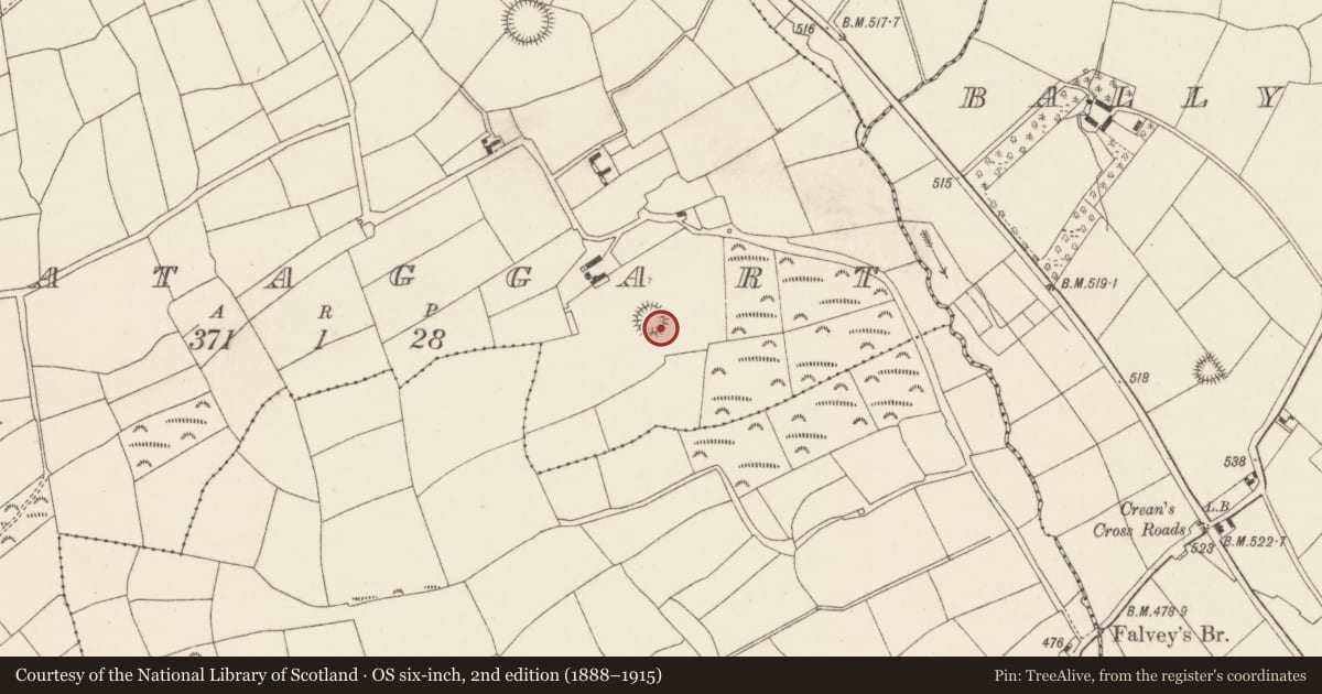 Ordnance Survey six-inch map, 2nd edition (1888–1915) covering the location of Ringfort - rath, Monataggart, County Cork, with a pin at the register's coordinates