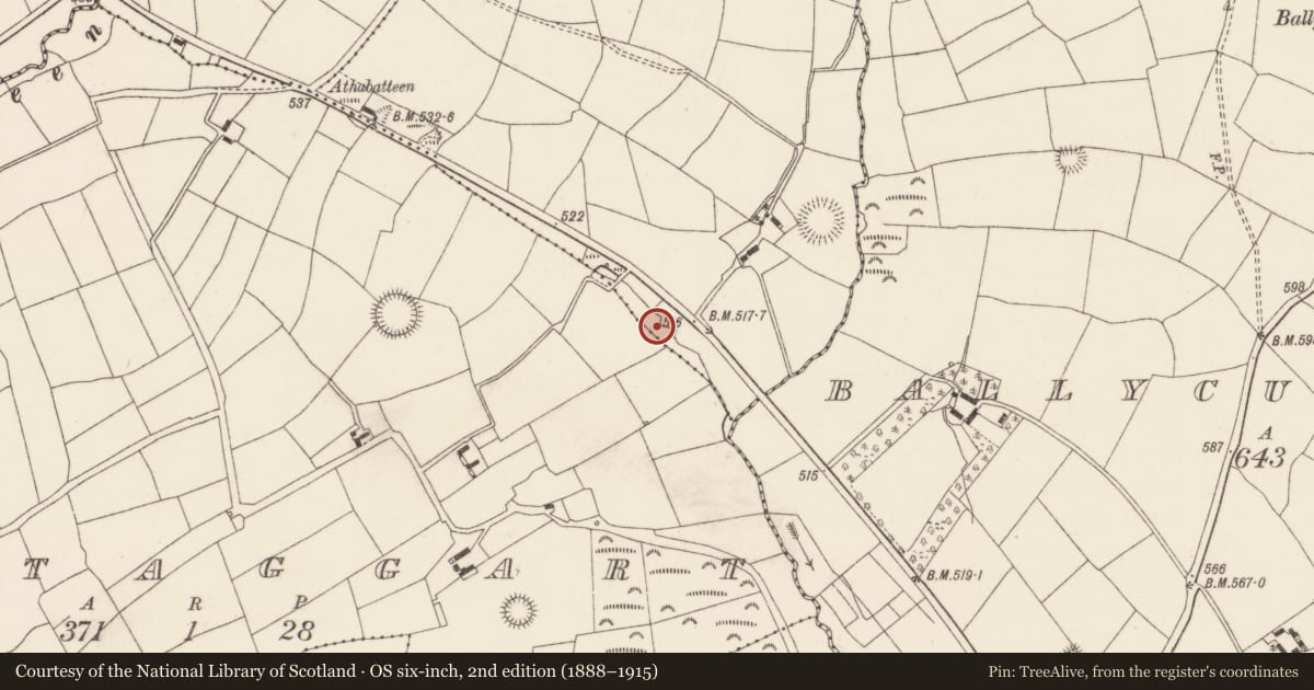 Ordnance Survey six-inch map, 2nd edition (1888–1915) covering the location of Fulacht fia, Ballykerwick, County Cork, with a pin at the register's coordinates