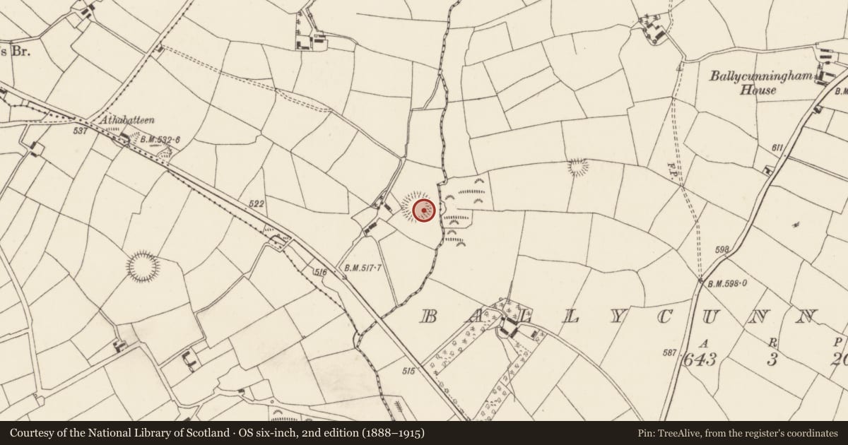 Ordnance Survey six-inch map, 2nd edition (1888–1915) covering the location of Ringfort - rath, Ballykerwick, County Cork, with a pin at the register's coordinates