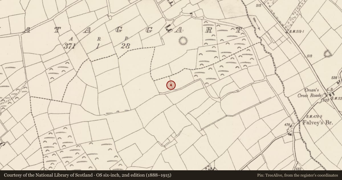 Ordnance Survey six-inch map, 2nd edition (1888–1915) covering the location of Fulacht fia, Killeenleigh, County Cork, with a pin at the register's coordinates