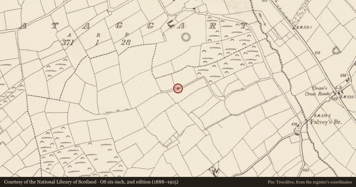 Ordnance Survey six-inch map, 2nd edition (1888–1915) covering the location of Fulacht fia, Killeenleigh, County Cork, with a pin at the register's coordinates