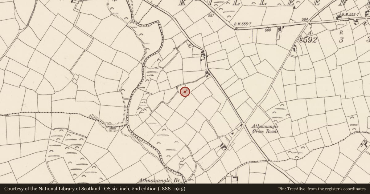 Ordnance Survey six-inch map, 2nd edition (1888–1915) covering the location of Ringfort - rath, Killeenleigh, County Cork, with a pin at the register's coordinates
