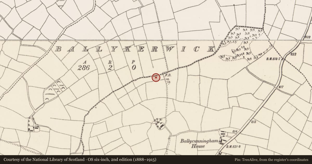 Ordnance Survey six-inch map, 2nd edition (1888–1915) covering the location of Fulacht fia, Ballycunningham, County Cork, with a pin at the register's coordinates