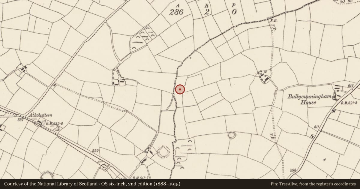 Ordnance Survey six-inch map, 2nd edition (1888–1915) covering the location of Fulacht fia, Ballycunningham, County Cork, with a pin at the register's coordinates