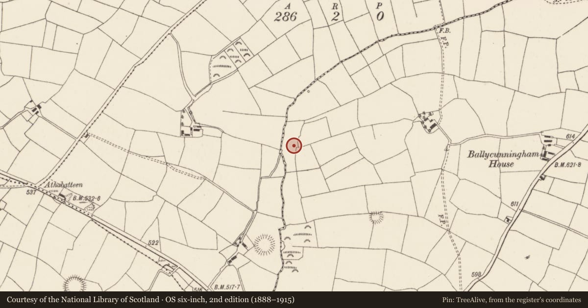 Ordnance Survey six-inch map, 2nd edition (1888–1915) covering the location of Standing stone, Ballycunningham, County Cork, with a pin at the register's coordinates
