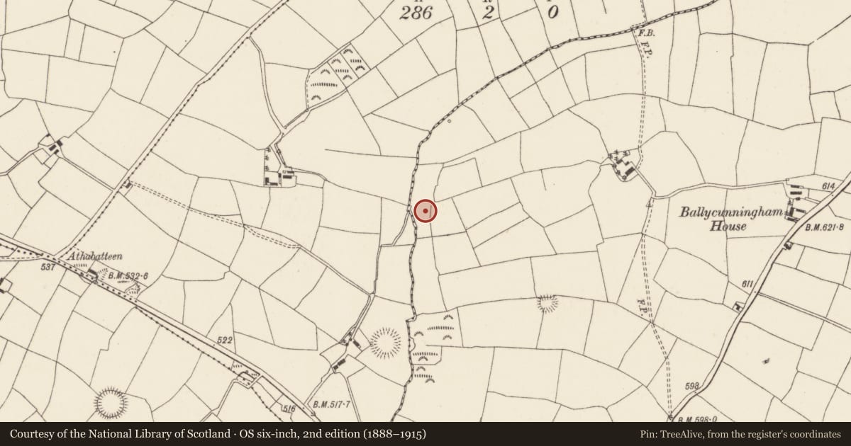 Ordnance Survey six-inch map, 2nd edition (1888–1915) covering the location of Fulacht fia, Ballycunningham, County Cork, with a pin at the register's coordinates