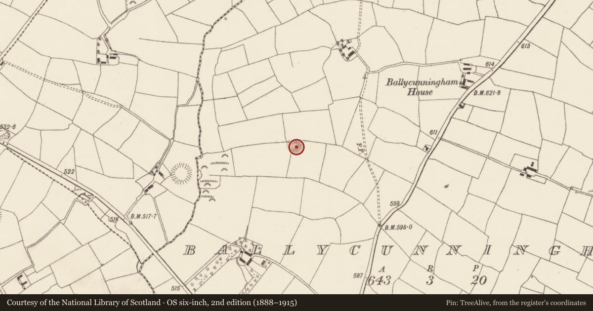 Ordnance Survey six-inch map, 2nd edition (1888–1915) covering the location of Ringfort - rath, Ballycunningham, County Cork, with a pin at the register's coordinates