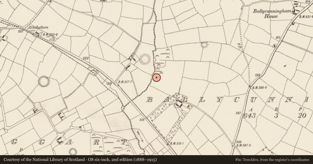 Ordnance Survey six-inch map, 2nd edition (1888–1915) covering the location of Fulacht fia, Ballycunningham, County Cork, with a pin at the register's coordinates