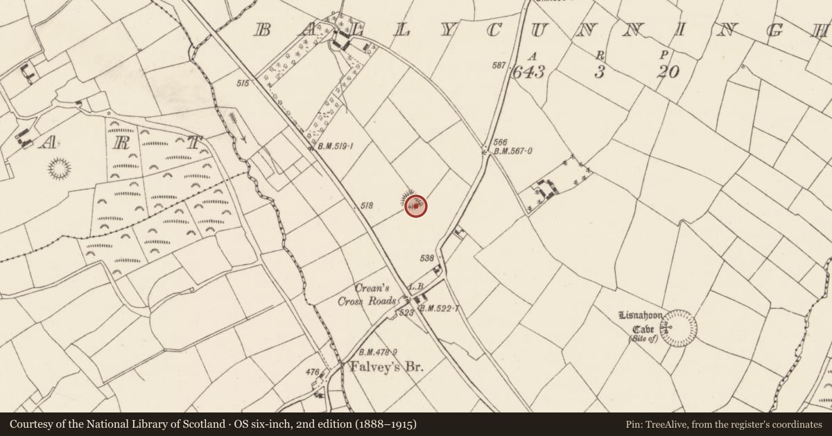 Ordnance Survey six-inch map, 2nd edition (1888–1915) covering the location of Ringfort - rath, Ballycunningham, County Cork, with a pin at the register's coordinates