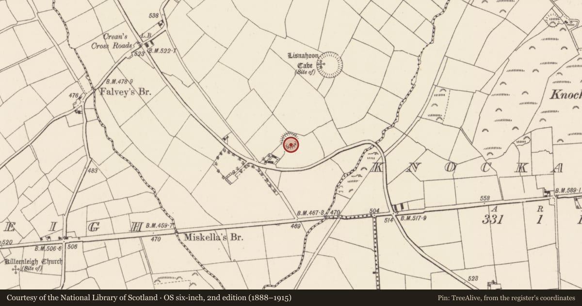 Ordnance Survey six-inch map, 2nd edition (1888–1915) covering the location of Ringfort - rath, Ballycunningham, County Cork, with a pin at the register's coordinates