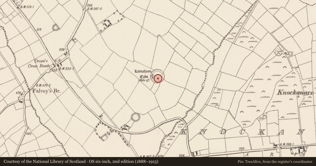 Ordnance Survey six-inch map, 2nd edition (1888–1915) covering the location of Ringfort - rath, Ballycunningham, County Cork, with a pin at the register's coordinates