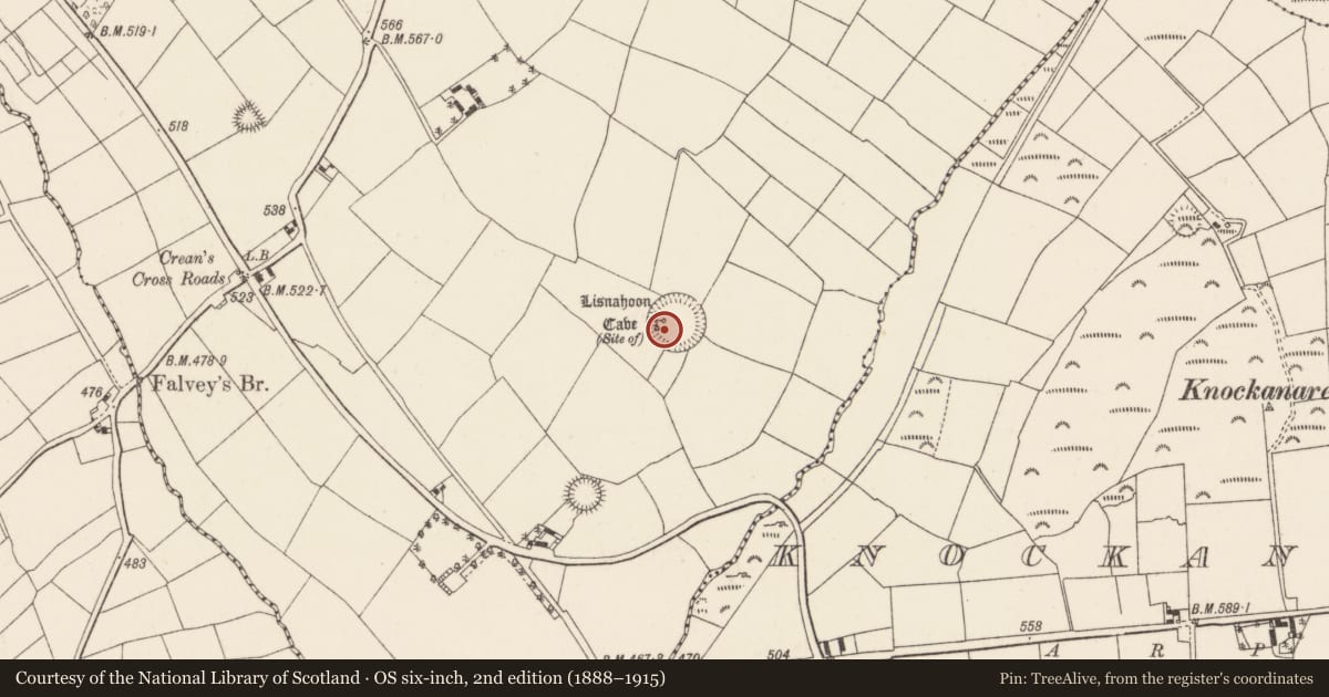 Ordnance Survey six-inch map, 2nd edition (1888–1915) covering the location of Souterrain, Ballycunningham, County Cork, with a pin at the register's coordinates
