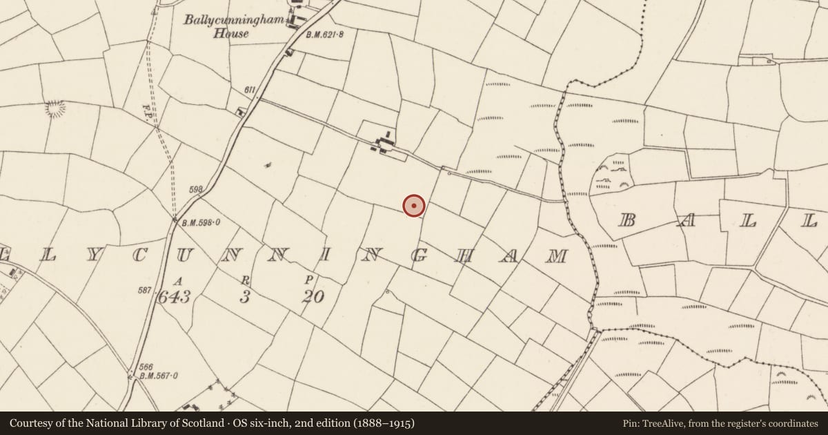 Ordnance Survey six-inch map, 2nd edition (1888–1915) covering the location of Fulacht fia, Ballycunningham, County Cork, with a pin at the register's coordinates