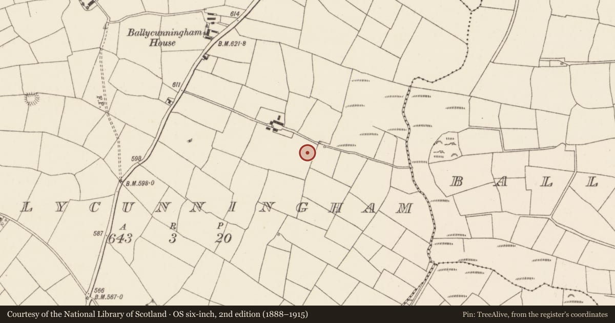 Ordnance Survey six-inch map, 2nd edition (1888–1915) covering the location of Fulacht fia, Ballycunningham, County Cork, with a pin at the register's coordinates