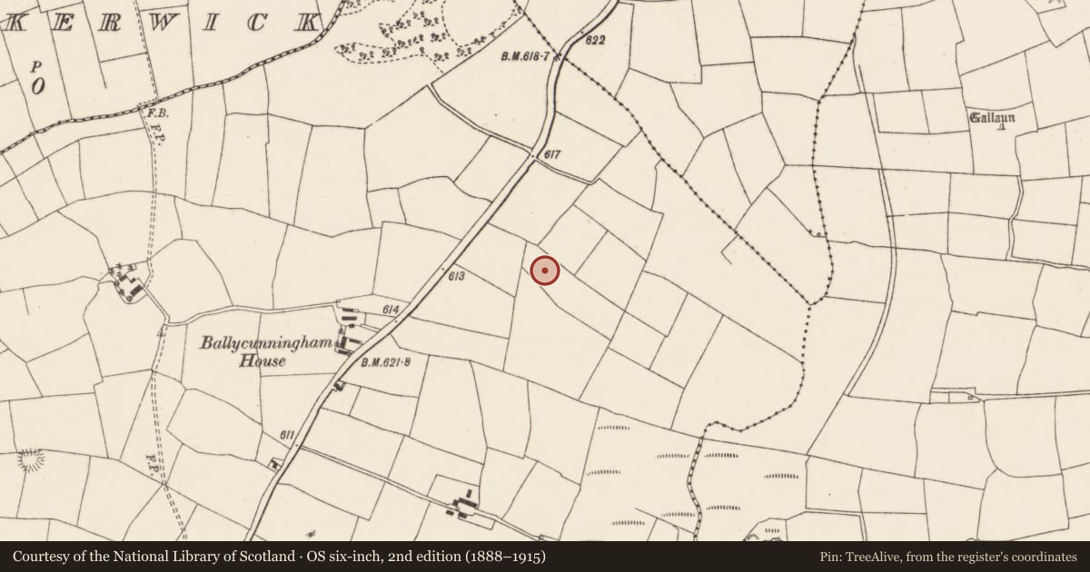 Ordnance Survey six-inch map, 2nd edition (1888–1915) covering the location of Fulacht fia, Ballycunningham, County Cork, with a pin at the register's coordinates