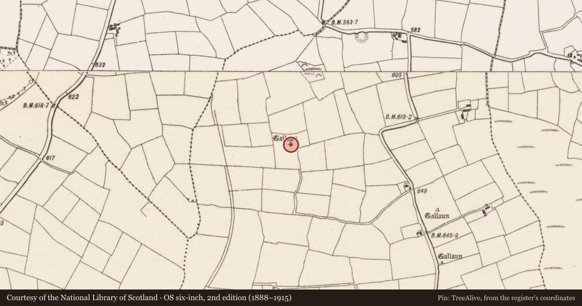 Ordnance Survey six-inch map, 2nd edition (1888–1915) covering the location of Standing stone, Ballygirriha, County Cork, with a pin at the register's coordinates