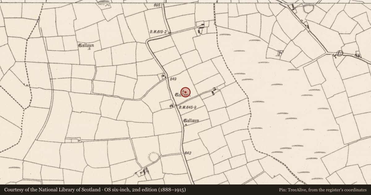 Ordnance Survey six-inch map, 2nd edition (1888–1915) covering the location of Standing stone, Ballygirriha, County Cork, with a pin at the register's coordinates