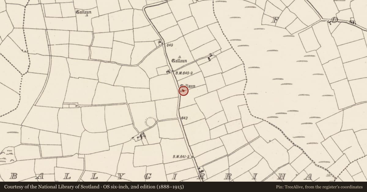 Ordnance Survey six-inch map, 2nd edition (1888–1915) covering the location of Standing stone, Ballygirriha, County Cork, with a pin at the register's coordinates