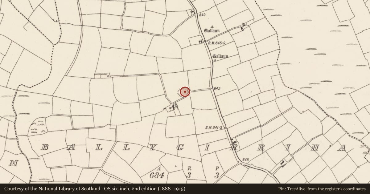 Ordnance Survey six-inch map, 2nd edition (1888–1915) covering the location of Ringfort - rath, Ballygirriha, County Cork, with a pin at the register's coordinates