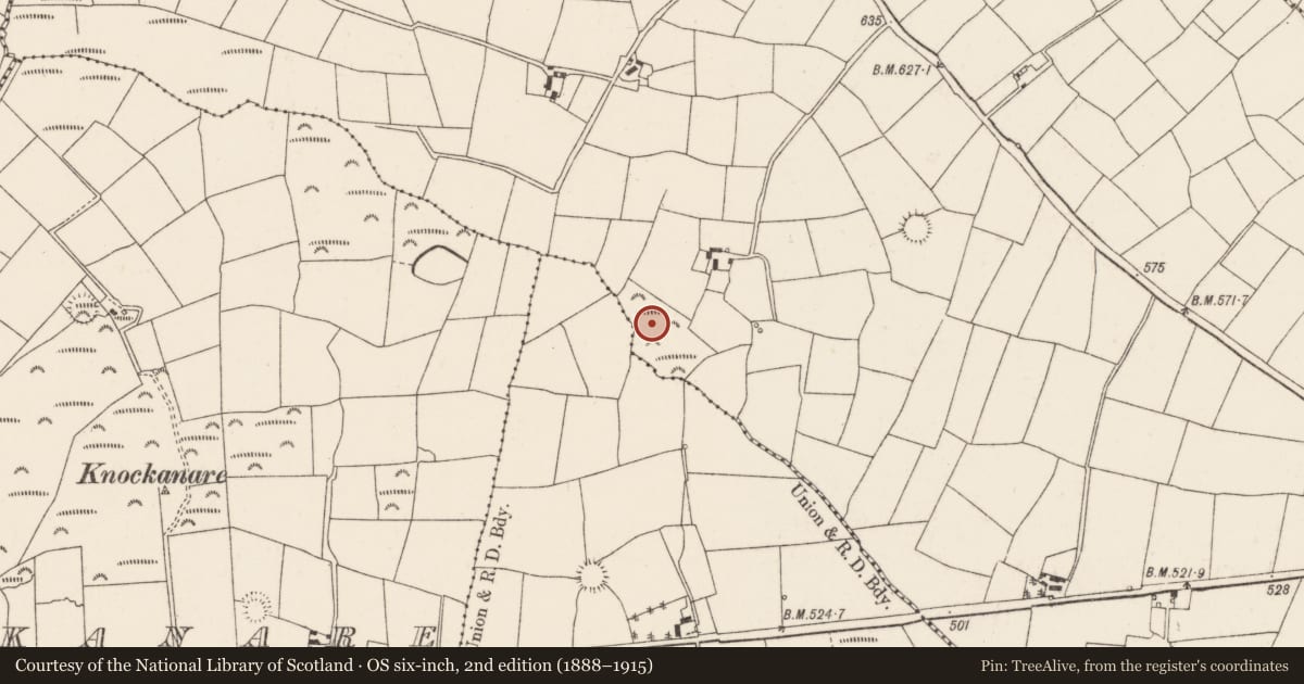 Ordnance Survey six-inch map, 2nd edition (1888–1915) covering the location of Fulacht fia, Ballygirriha, County Cork, with a pin at the register's coordinates