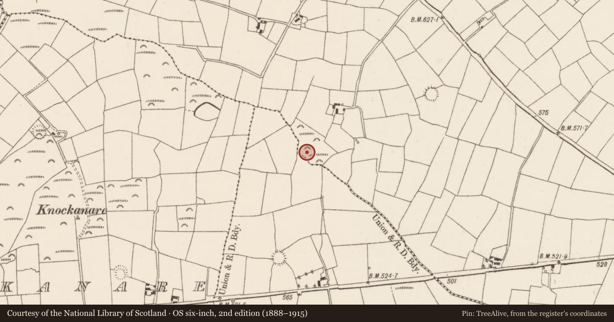 Ordnance Survey six-inch map, 2nd edition (1888–1915) covering the location of Fulacht fia, Ballygirriha, County Cork, with a pin at the register's coordinates
