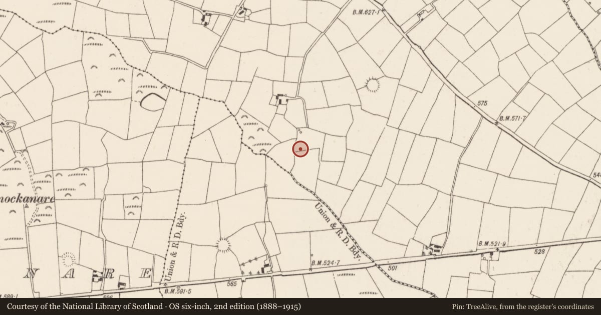 Ordnance Survey six-inch map, 2nd edition (1888–1915) covering the location of Fulacht fia, Ballygirriha, County Cork, with a pin at the register's coordinates