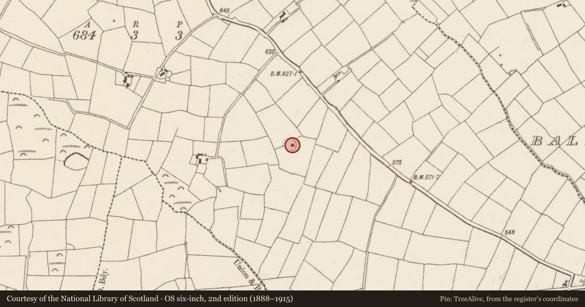 Ordnance Survey six-inch map, 2nd edition (1888–1915) covering the location of Ringfort - rath, Ballygirriha, County Cork, with a pin at the register's coordinates