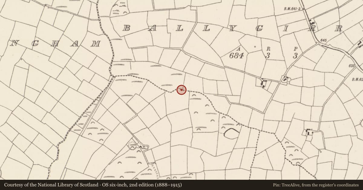 Ordnance Survey six-inch map, 2nd edition (1888–1915) covering the location of Fulacht fia, Knockanare, County Cork, with a pin at the register's coordinates