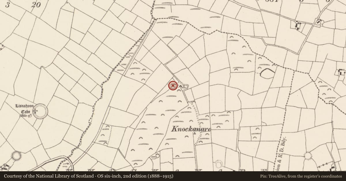 Ordnance Survey six-inch map, 2nd edition (1888–1915) covering the location of Ringfort - rath, Knockanare, County Cork, with a pin at the register's coordinates