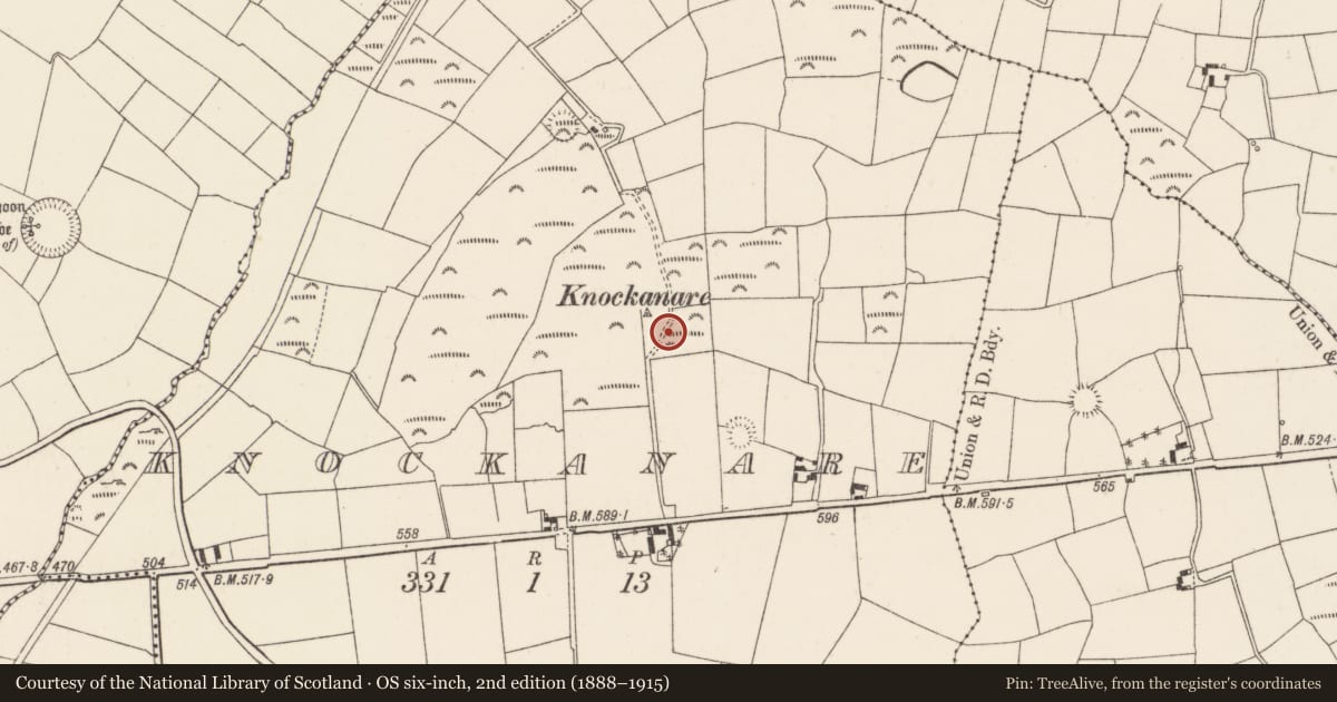 Ordnance Survey six-inch map, 2nd edition (1888–1915) covering the location of Standing stone, Knockanare, County Cork, with a pin at the register's coordinates
