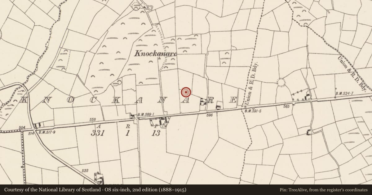Ordnance Survey six-inch map, 2nd edition (1888–1915) covering the location of Ringfort - rath, Knockanare, County Cork, with a pin at the register's coordinates