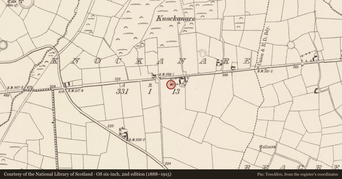 Ordnance Survey six-inch map, 2nd edition (1888–1915) covering the location of Ringfort - rath, Knockanare, County Cork, with a pin at the register's coordinates