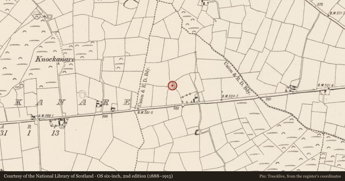 Ordnance Survey six-inch map, 2nd edition (1888–1915) covering the location of Ringfort - rath, Reagrellagh, County Cork, with a pin at the register's coordinates