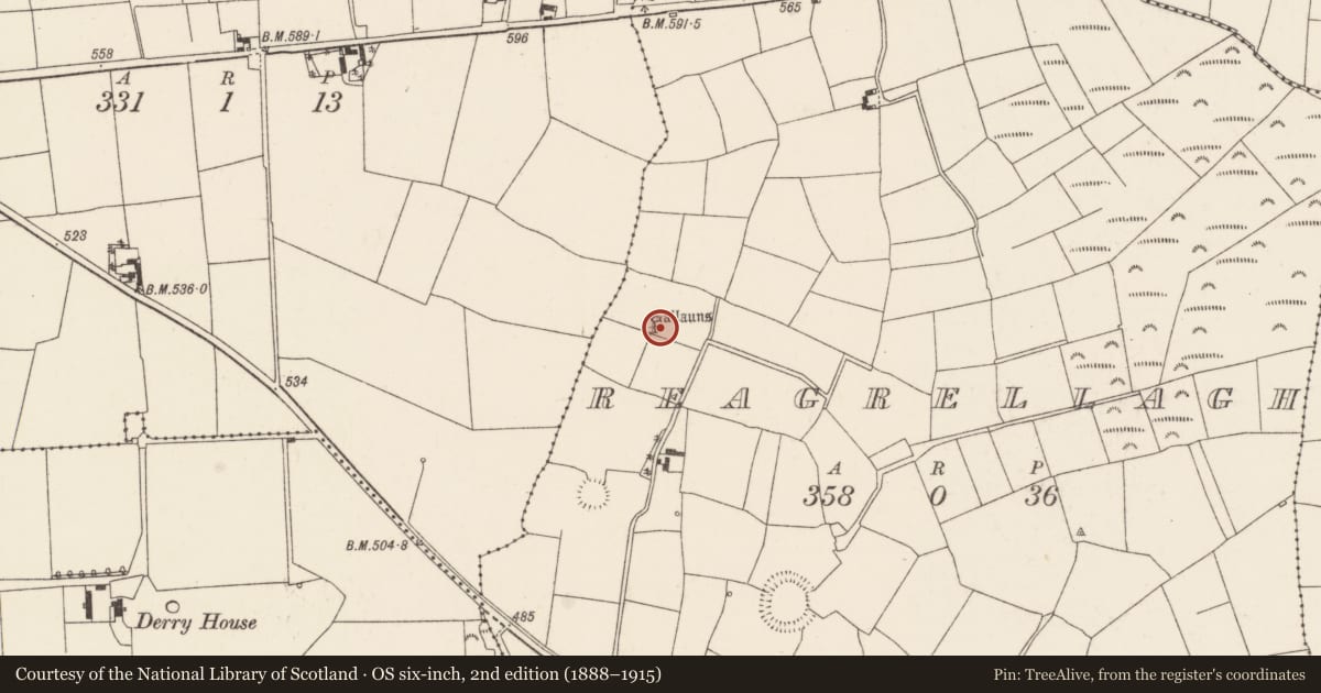 Ordnance Survey six-inch map, 2nd edition (1888–1915) covering the location of Anomalous stone group, Reagrellagh, County Cork, with a pin at the register's coordinates
