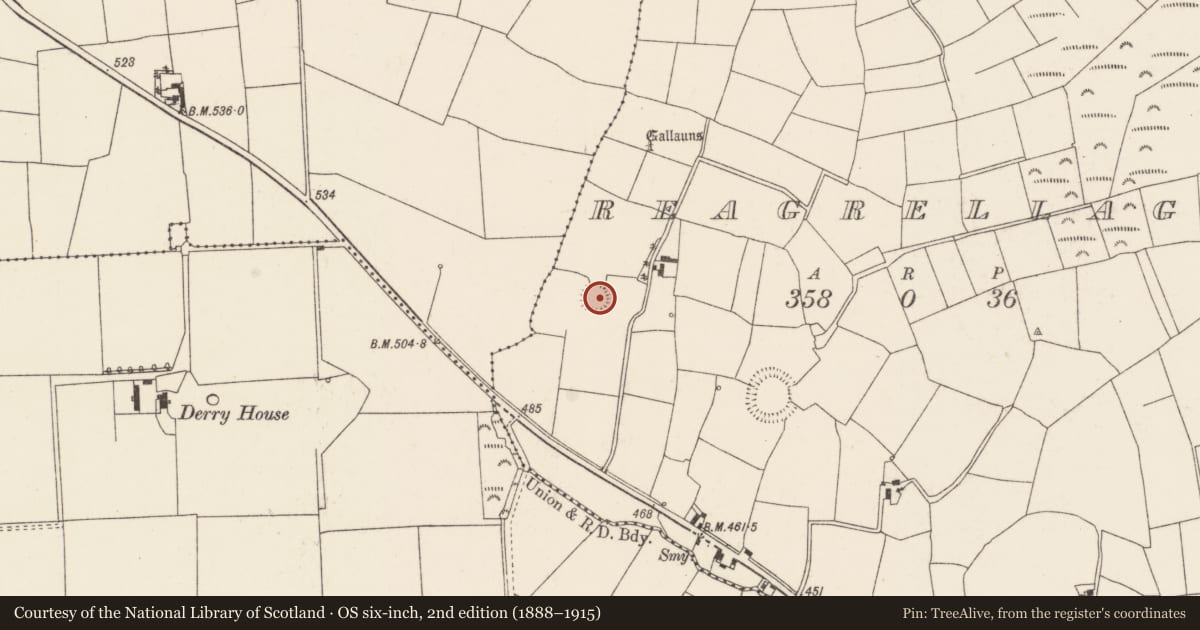 Ordnance Survey six-inch map, 2nd edition (1888–1915) covering the location of Souterrain, Reagrellagh, County Cork, with a pin at the register's coordinates