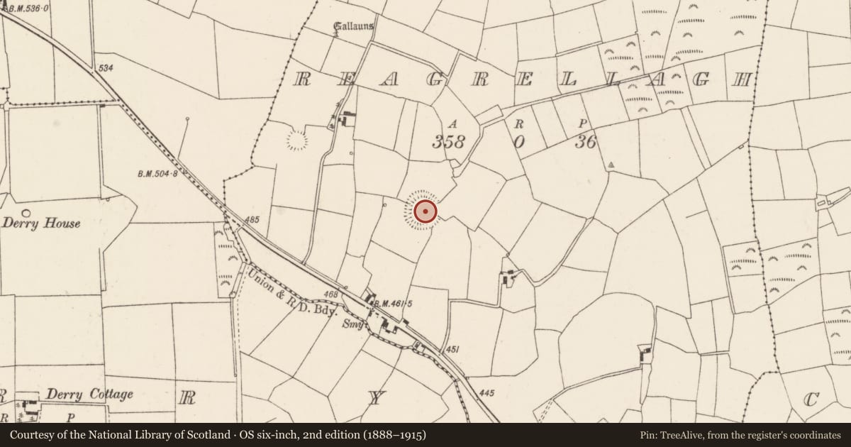 Ordnance Survey six-inch map, 2nd edition (1888–1915) covering the location of Ringfort - rath, Reagrellagh, County Cork, with a pin at the register's coordinates