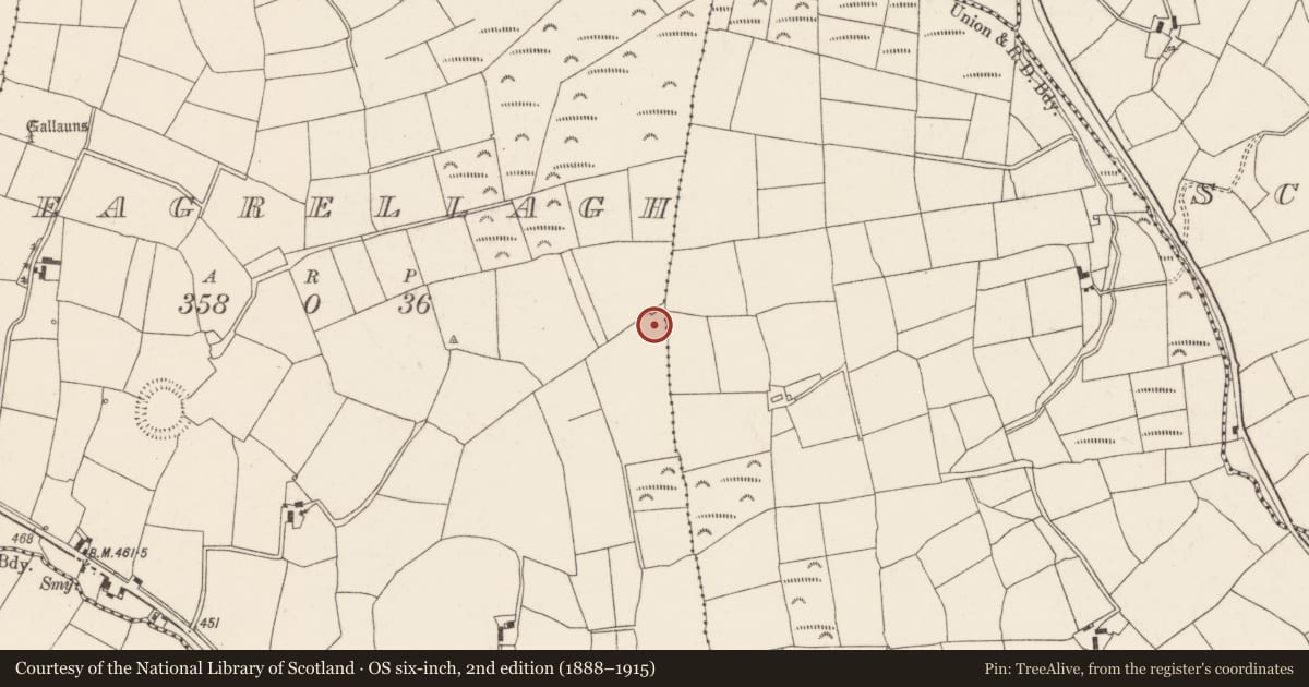 Ordnance Survey six-inch map, 2nd edition (1888–1915) covering the location of Fulacht fia, Reagrellagh, County Cork, with a pin at the register's coordinates