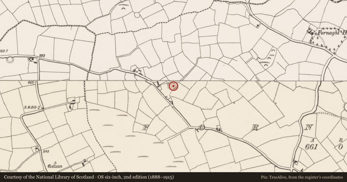 Ordnance Survey six-inch map, 2nd edition (1888–1915) covering the location of Ringfort - rath, Fornaght, County Cork, with a pin at the register's coordinates