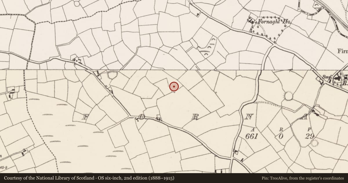 Ordnance Survey six-inch map, 2nd edition (1888–1915) covering the location of Standing stone, Fornaght, County Cork, with a pin at the register's coordinates