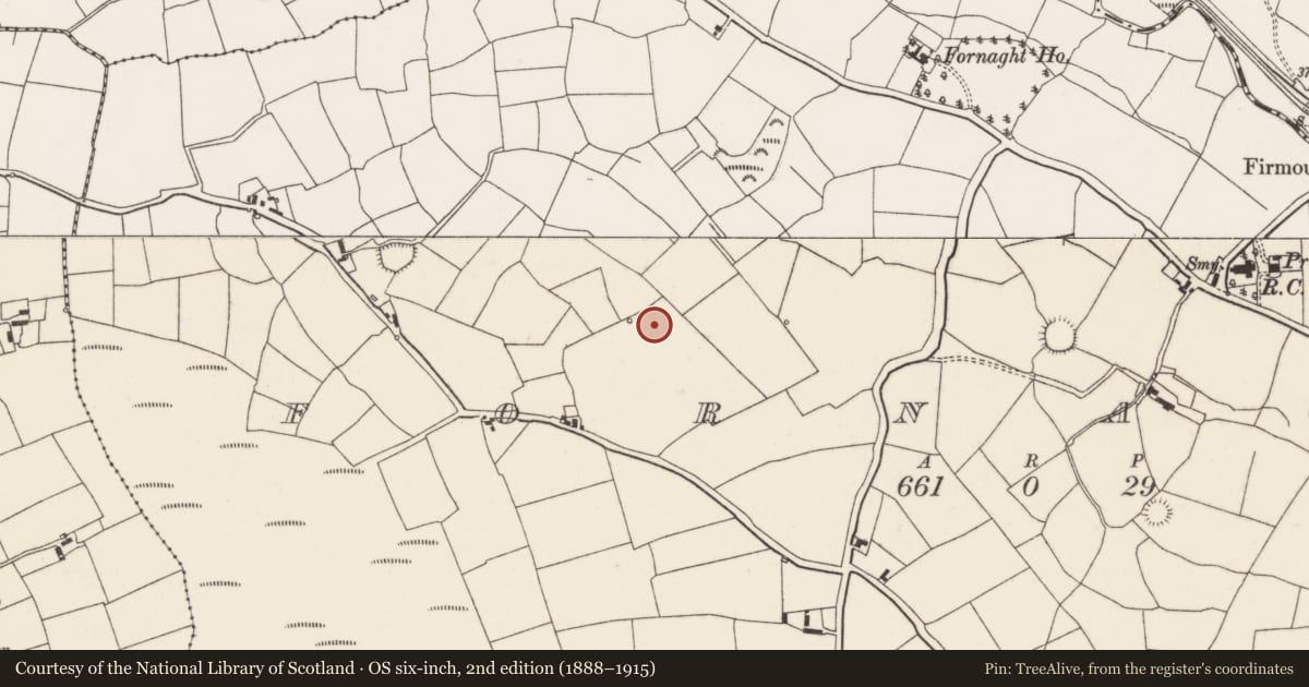Ordnance Survey six-inch map, 2nd edition (1888–1915) covering the location of Standing stone, Fornaght, County Cork, with a pin at the register's coordinates