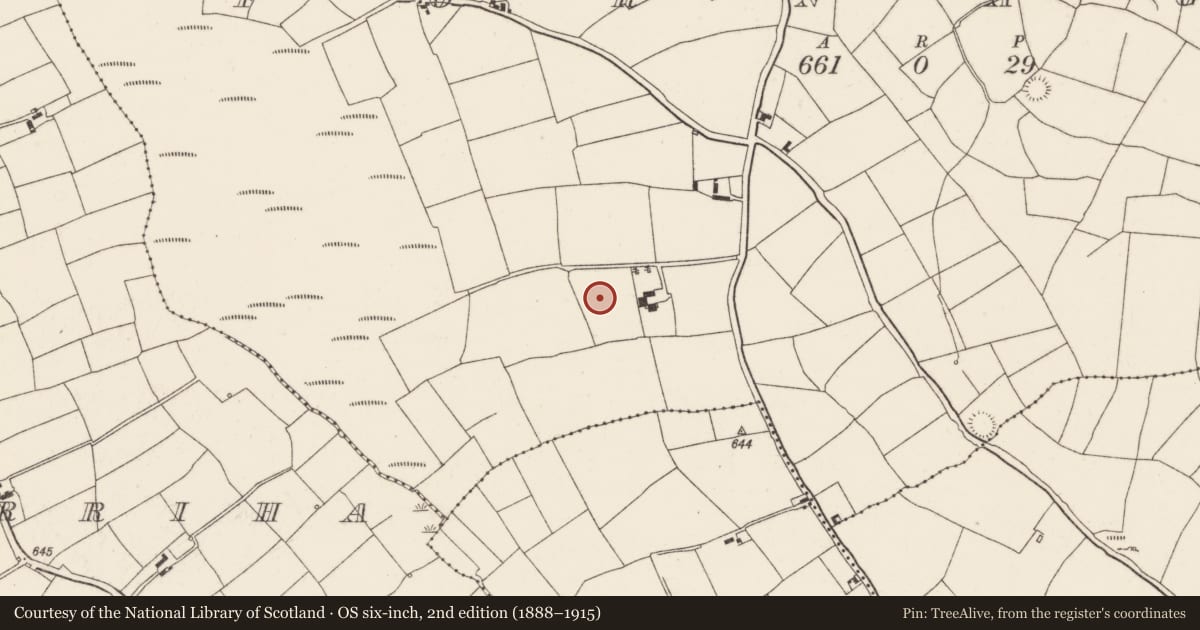 Ordnance Survey six-inch map, 2nd edition (1888–1915) covering the location of Standing stone, Fornaght, County Cork, with a pin at the register's coordinates