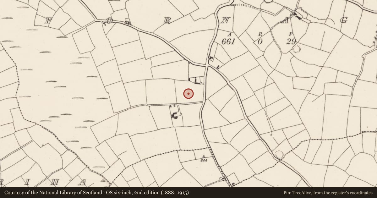 Ordnance Survey six-inch map, 2nd edition (1888–1915) covering the location of Standing stone, Fornaght, County Cork, with a pin at the register's coordinates