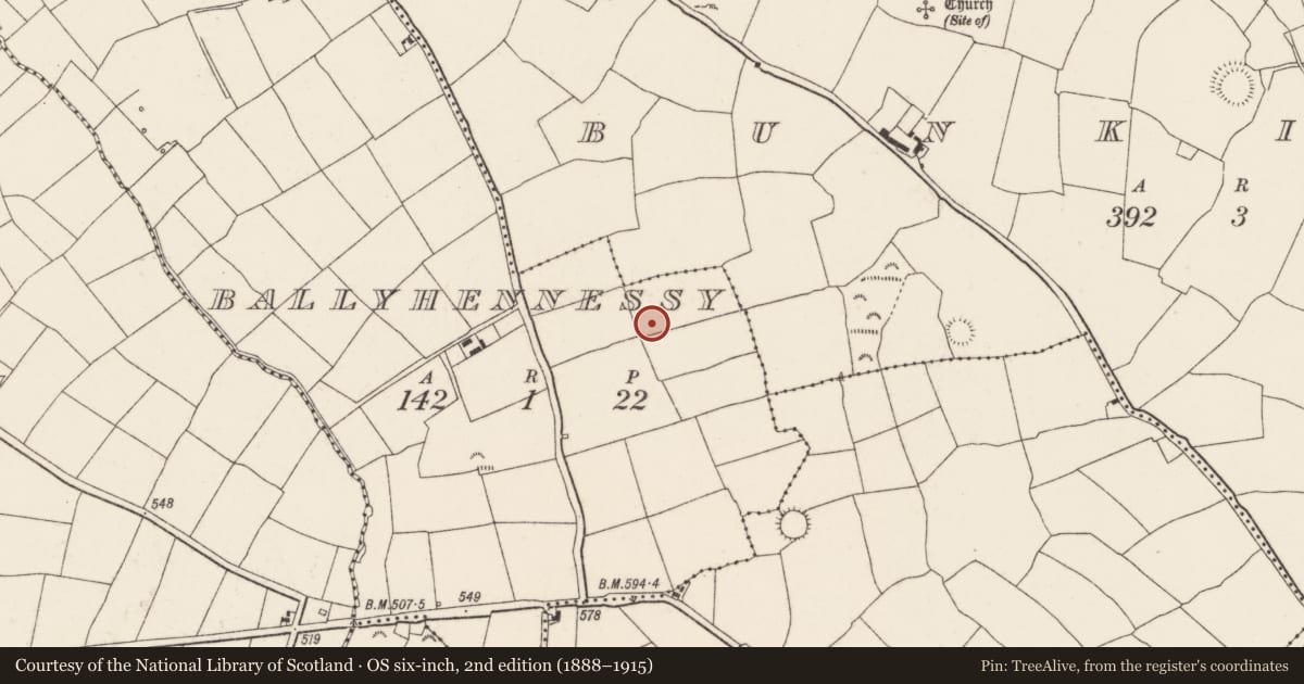 Ordnance Survey six-inch map, 2nd edition (1888–1915) covering the location of Standing stone, Ballyhennessy, County Cork, with a pin at the register's coordinates