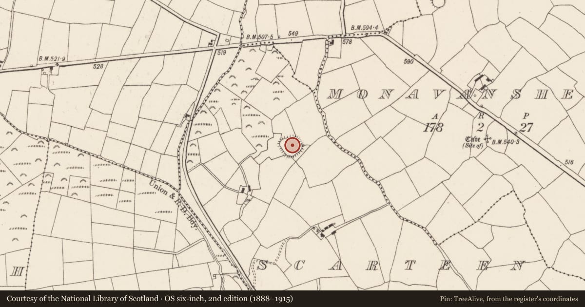 Ordnance Survey six-inch map, 2nd edition (1888–1915) covering the location of Ringfort - rath, Scarteen, County Cork, with a pin at the register's coordinates