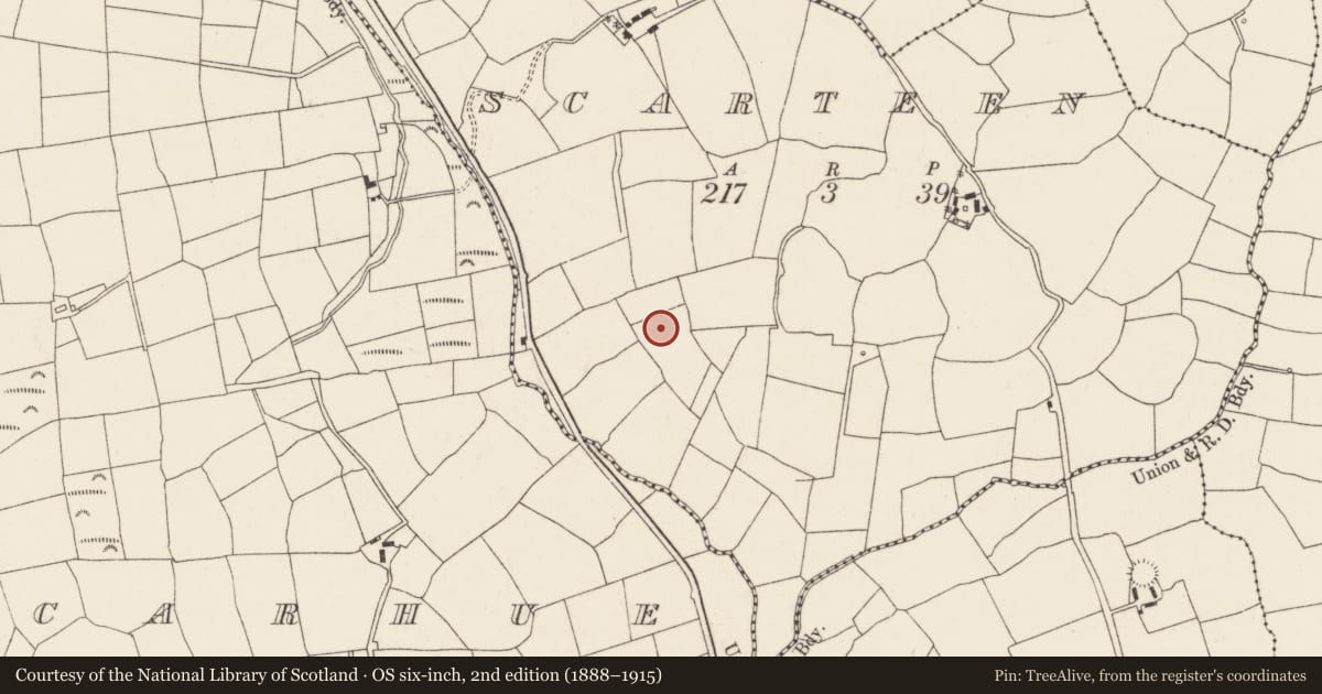 Ordnance Survey six-inch map, 2nd edition (1888–1915) covering the location of Fulacht fia, Scarteen, County Cork, with a pin at the register's coordinates