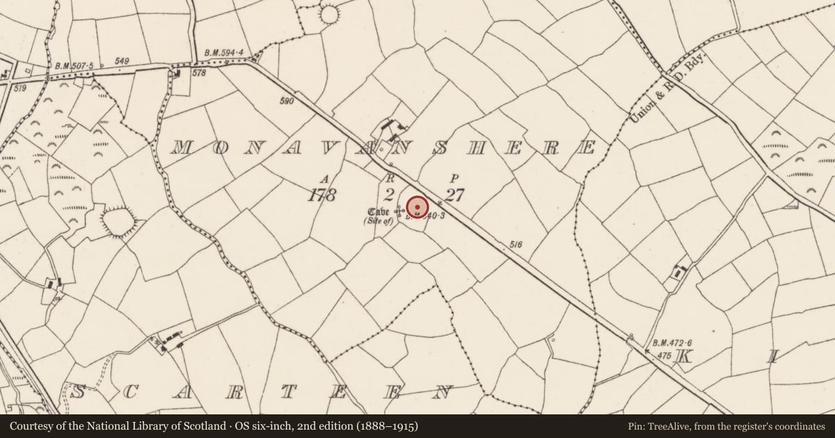Ordnance Survey six-inch map, 2nd edition (1888–1915) covering the location of Ringfort - rath, Monavanshere, County Cork, with a pin at the register's coordinates